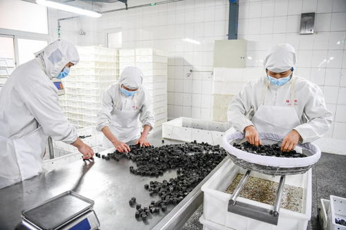 北京稻香村石磨元宵開(kāi)搖啦 光看圖就饞了